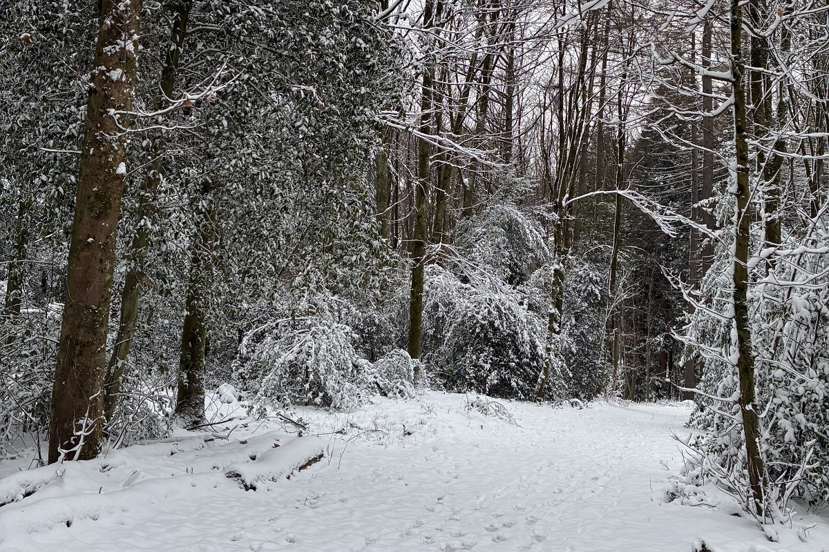 SpassimSchnee1